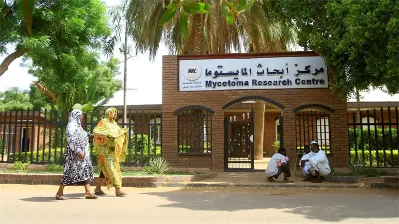 مركز أبحاث المايستوما