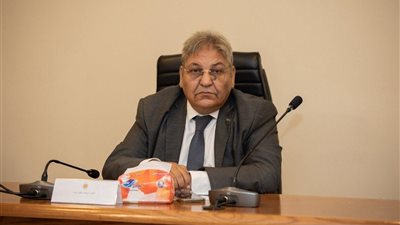 برلماني: عن قانون الرقم القومي الموحد يهدف إلى تقليل النزاعات على العقارات