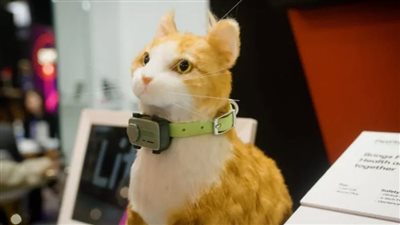 برمجة للتعرف على النباح.. إطلاق أول هاتف ذكي للحيوانات الأليفة 