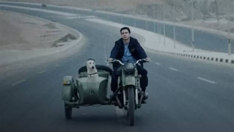 عصام عمر