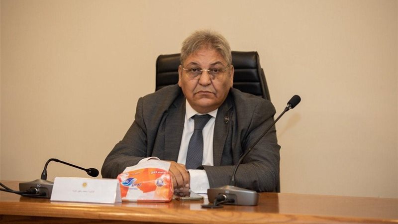 النائب وفيق عزت