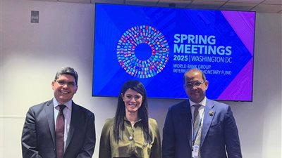 «المشاط»: تحفيز مشاركة القطاع الخاص بتحسين بيئة الاستثمار والنمو الاقتصادي