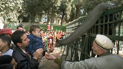  بـ5 جنيهات للتذكرة.. حدائق 