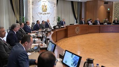 الجريدة الرسمية: إسقاط الجنسية عن مواطن انضم لهيئة أجنبية تستهدف تقويض النظام