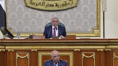 مجلس النواب يبدأ مناقشة مشروع قانون الرقم القومي للعقارات