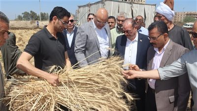 محافظ القليوبية يتفقد صوامع القمح ويؤكد: المحصول مبشر والإنتاجية وفيرة