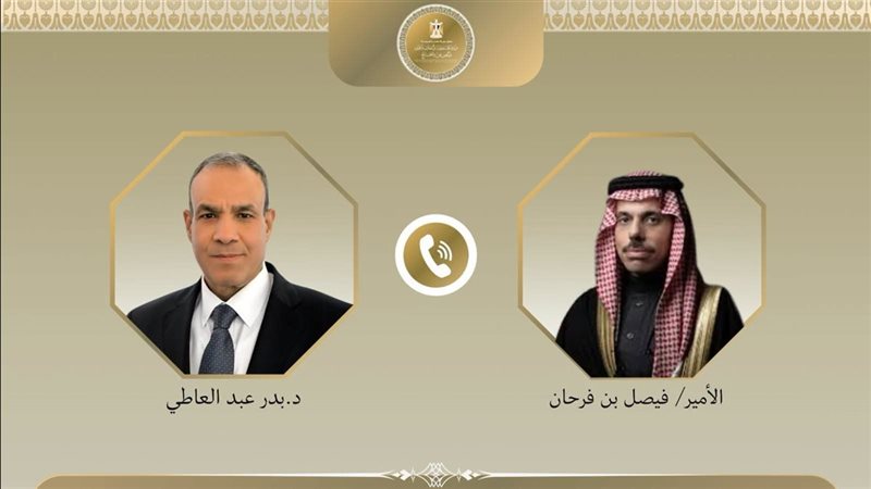 وزيرا خارجية مصر