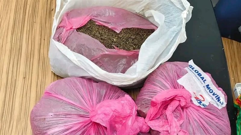 المضبوطات 