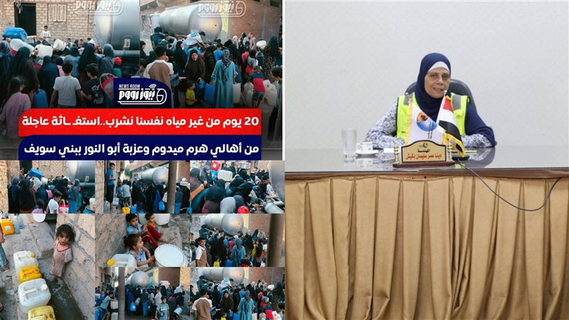 المهندسة دينا عمر