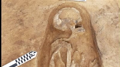 “في الدقهلية” كشف أثري جديد يوثق آلاف السنين من الاستيطان البشري 
