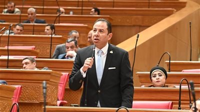 النائب حسن عمار لوزير التعليم العالي: كفى فشلًا وتخبطًا