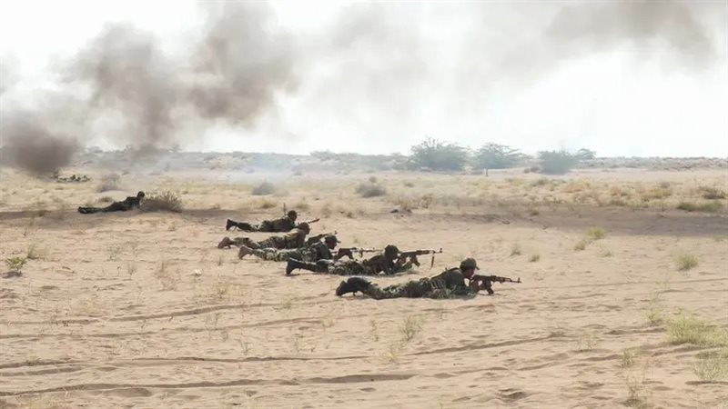 أرشيفية 