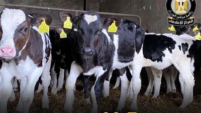 11.5 مليار جنيه تمويلات.. 