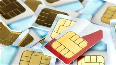 باحث يتساءل عن بطاقات الرقم القومي وخطوط المحمول: «أي تشكيل عصابي هذا؟»