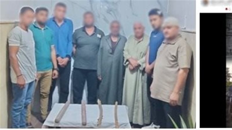 أطراف المشاجرة 
