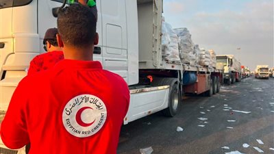 الهلال الأحمر المصري يدفع بـ 58 ألف سلة غذائية ضمن قافلة زاد العزة الـ 256