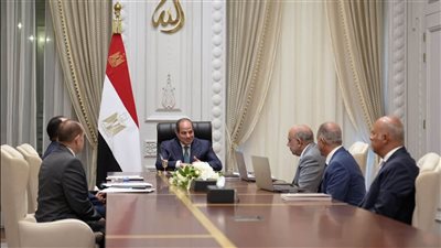 الرئيس السيسي يوجه بتوطين صناعات الطاقة المتجددة ودعم تصنيع بطاريات تخزين الكهرباء محليا