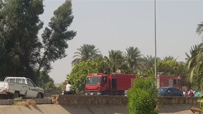 النيران التهمت أشجار النخيل في الأقصر.. اندلاع حريق ضخم على طريق البغدادي