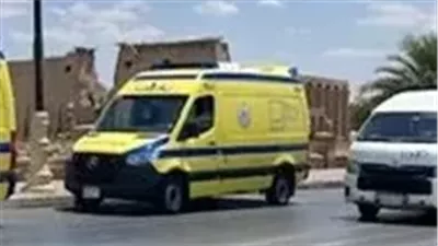 بتر ساقيه وحالته حرجة.. قطار يصدم شخصا بمحطة الدير في إسنا