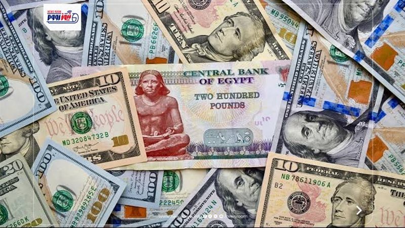 سعر الدولار اليوم