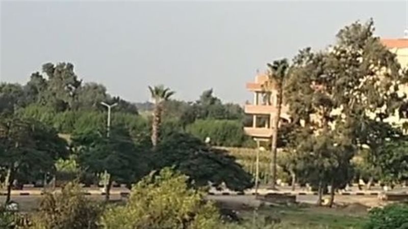 المنوفية 