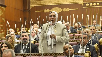 النائبة وفاء رشاد: الأمن المائي المصري حق وجودي لا يقبل المقايضة أو التنازل
