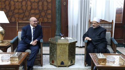 شيخ الأزهر يستقبل وفد «قضاة مصر».. والنادي يشكره على فرع الرواق