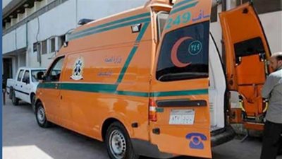 جريمة مأساوية في البحيرة.. شاب ينهي حياة شقيقه بطعنات قاتلة بالنوبارية
