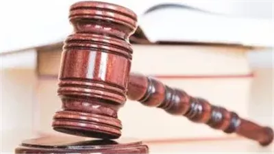 تأجيل استئناف موظفين  بشركة بدر للطيران  نيو فيجن للعقارات على حكم إعدامهم