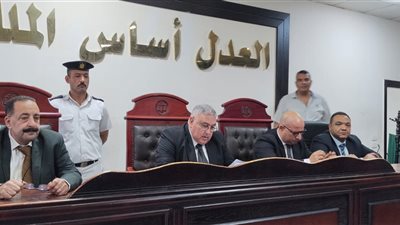 جنايات دمنهور تقضي بالإعدام شنقًا لعامل اغتصب ابنة شقيقه بوادي النطرون