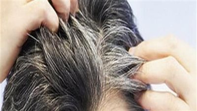 الشيب عند الرجال.. متى يبدأ وما أسباب ظهوره المبكر؟ 
