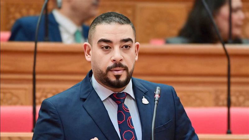 النائب أحمد رجب الشافعي
