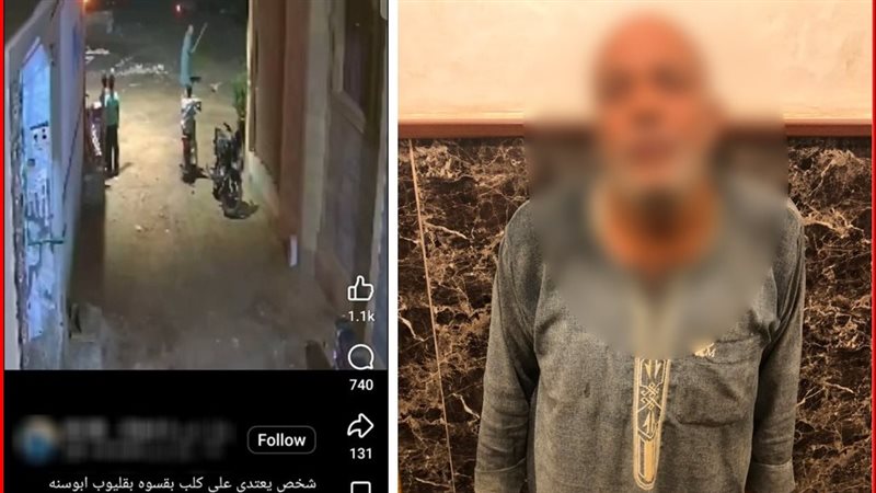 شخص يعتدى على كلب