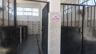 600 متر و3 عنابر.. تفاصيل منظومة إيواء الكلاب الحرة في السويس