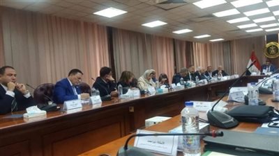 بحضور وزير الصناعة.. عبير عصام تطرح رؤية لتفعيل دور «الجمعيات الأهلية» في دعم المشروعات الصغيرة