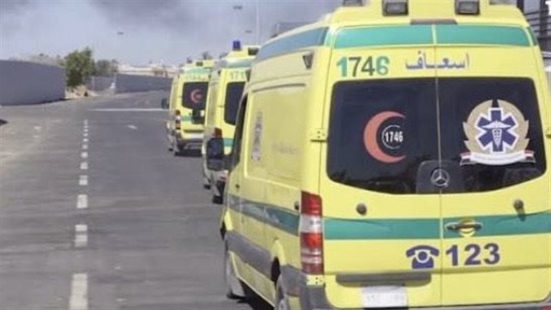 ارشيفية