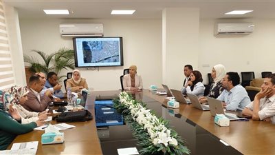 12 ألف إعلان بالقاهرة و5 آلاف بالجيزة.. ضوابط جديدة لاستعادة الهوية البصرية