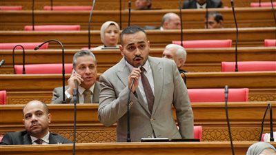 بعد وصولها لـ 2000 جنيه.. تحرك برلماني لكشف أسباب تسرب الأسمدة للسوق السوداء