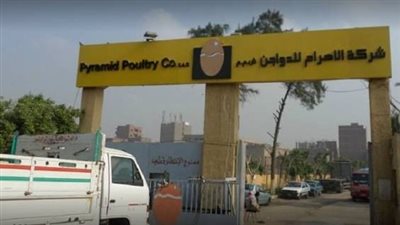الأهرام للدواجن تكشف تفاصيل واقعة الاستيلاء على حمولة سيارة نقل مبرد