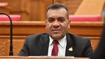  أشرف مرزوق: قمة العلمين الثلاثية تعكس رؤية متكاملة لحماية الأمن المائي والطاقي
