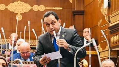 الجندي: زيادة المناطق الصناعية وحدها لا تكفي ولابد من تشغيلها بكامل طاقتها