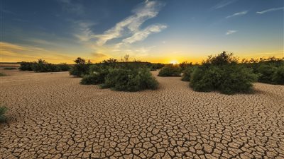 أستاذ تغير المناخ يكشف تحديات التصحر وأهمية دور مصر دوليا