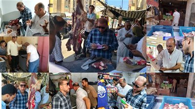 ضبط لحوم وكبدة غير صالحة وتحرير مخالفات بحملات لتموين بنى سويف |صور