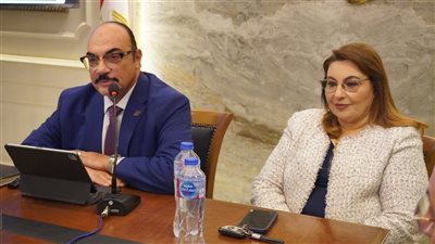 رضا فرحات: عودة المجالس المحلية ضرورة لإنهاء الفراغ السياسي المحلي