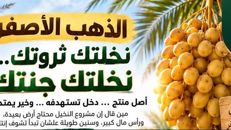 أفرولاند تطرح نموذجًا
