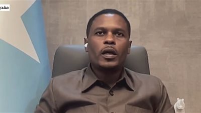 وزير الإعلام الصومالي: أمن سواحلنا يرتبط مباشرة بأمن الملاحة في البحر الأحمر