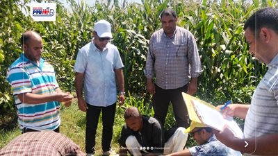 إزالة64 حالة تعد والتوسع في الزراعات الصيفية وتكثيف الإرشادودعم التحول الرقمي 