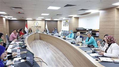 القومي للمرأة يعقد المائدة المستديرة الرابعة لمبادرة 