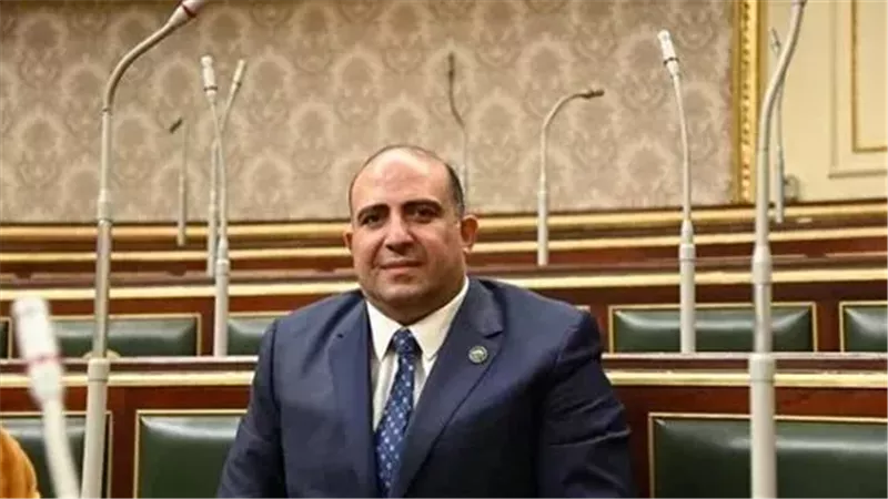 النائب محمد سليم
