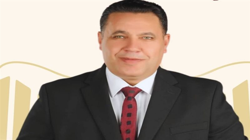 النائب عماد الغنيمي